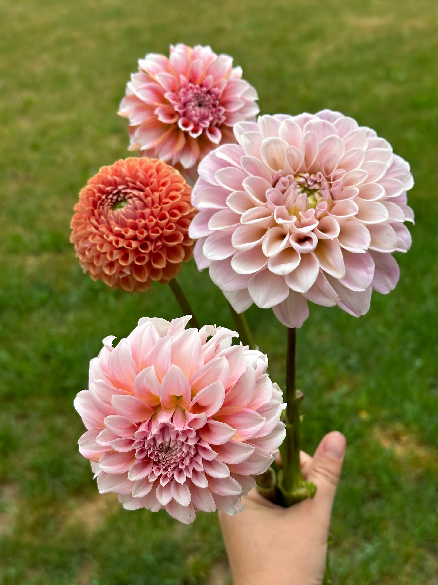 Mason Jar Arrangement