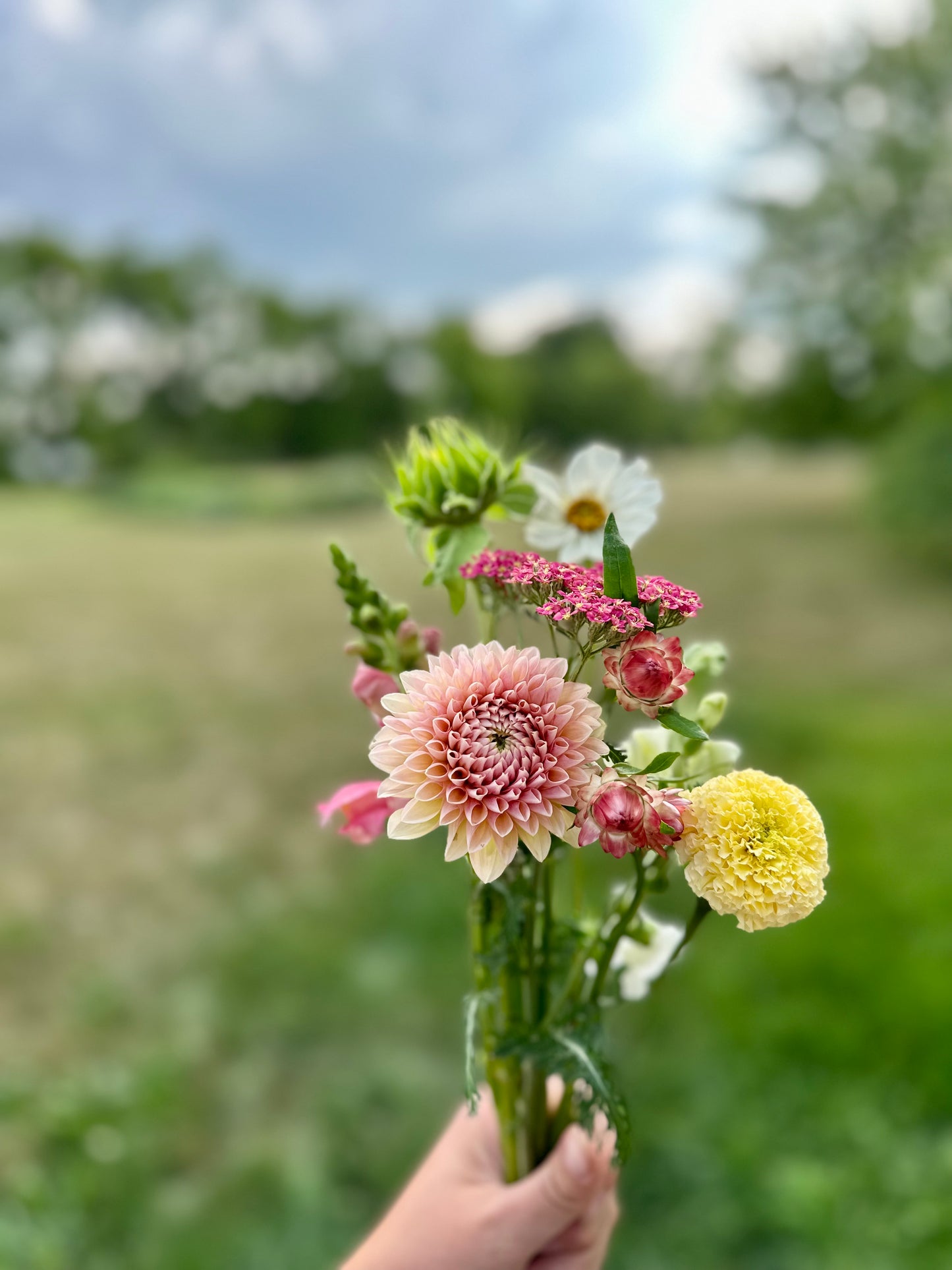 Mason Jar Arrangement