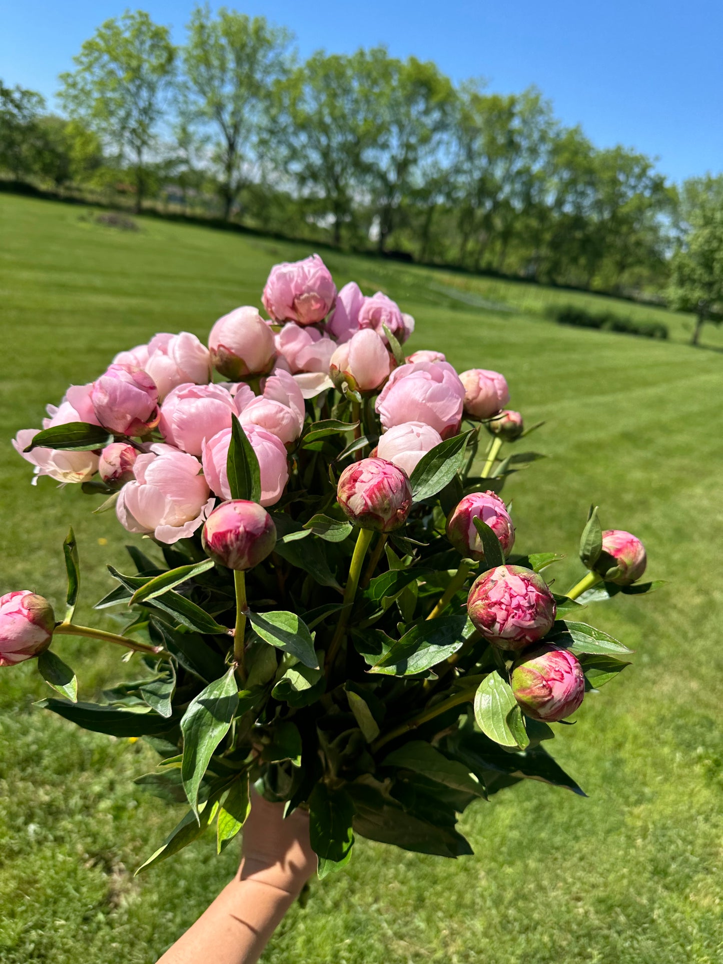 Recital Bouquets for The Laura Coté School of Dance