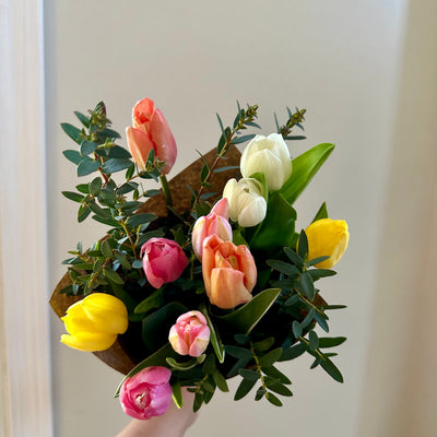 Mothers Day Tulip Bouquet Pre-Orders