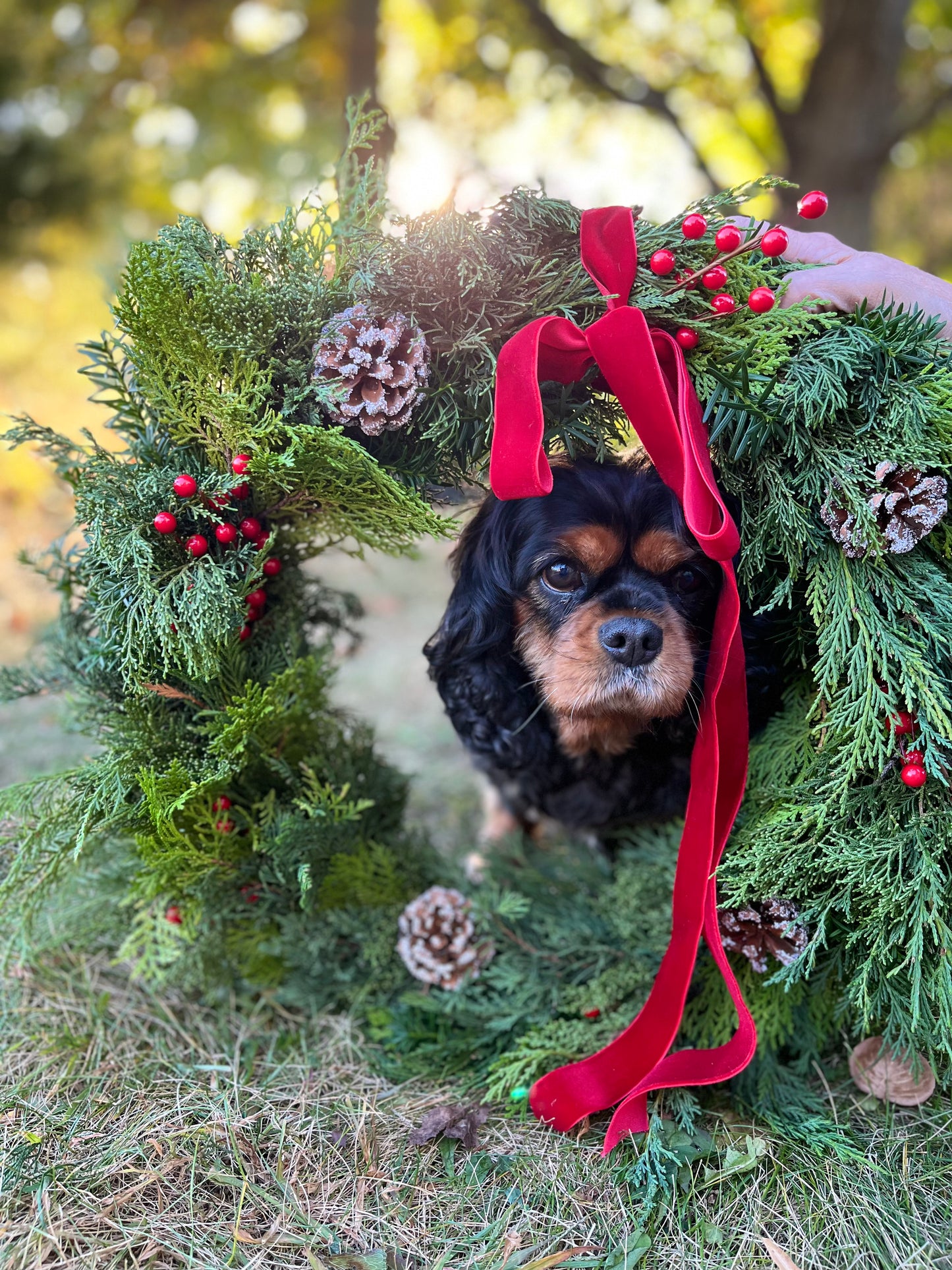 Berry Splendor Wreath